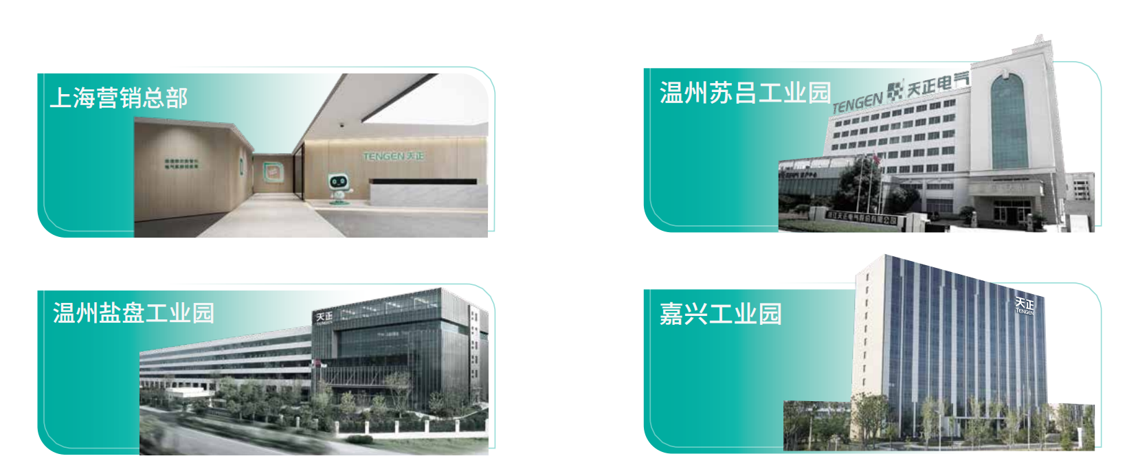 蘑菇视频入口企业画册_02.png